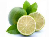 Calamansi 2 Pieces