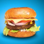 Angus Beef Cheese Burger