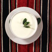 Yoghurt Dahi Plain