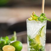 Classic Mojito