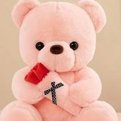 Pink Teddy Bear 