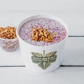 Musakhan Fatteh