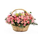 Baby Roses Chocolate Basket