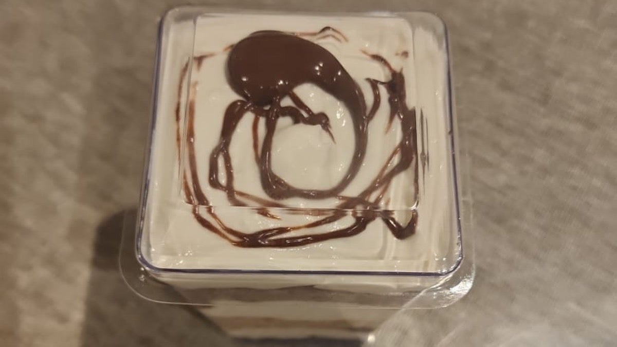 Homemade Biscuit Cake