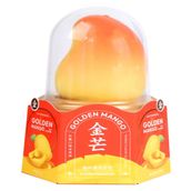 Golden Mango Ice Cream