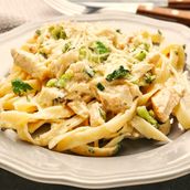 Penne Alfredo