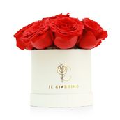Mini White Box Of Red Roses