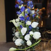 Arrangement 17