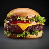 Dairy Free - Plant Based Burger