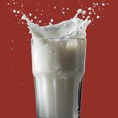 Ayran
