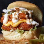 Bufallo Chicken