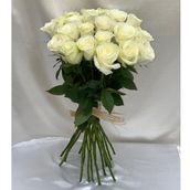 White Classic