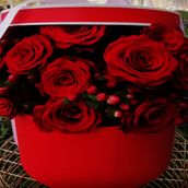box flowers