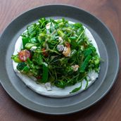 Green Salad