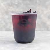 cold hibiscus 