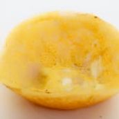 Egg Aappam