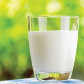 Mint Milk
