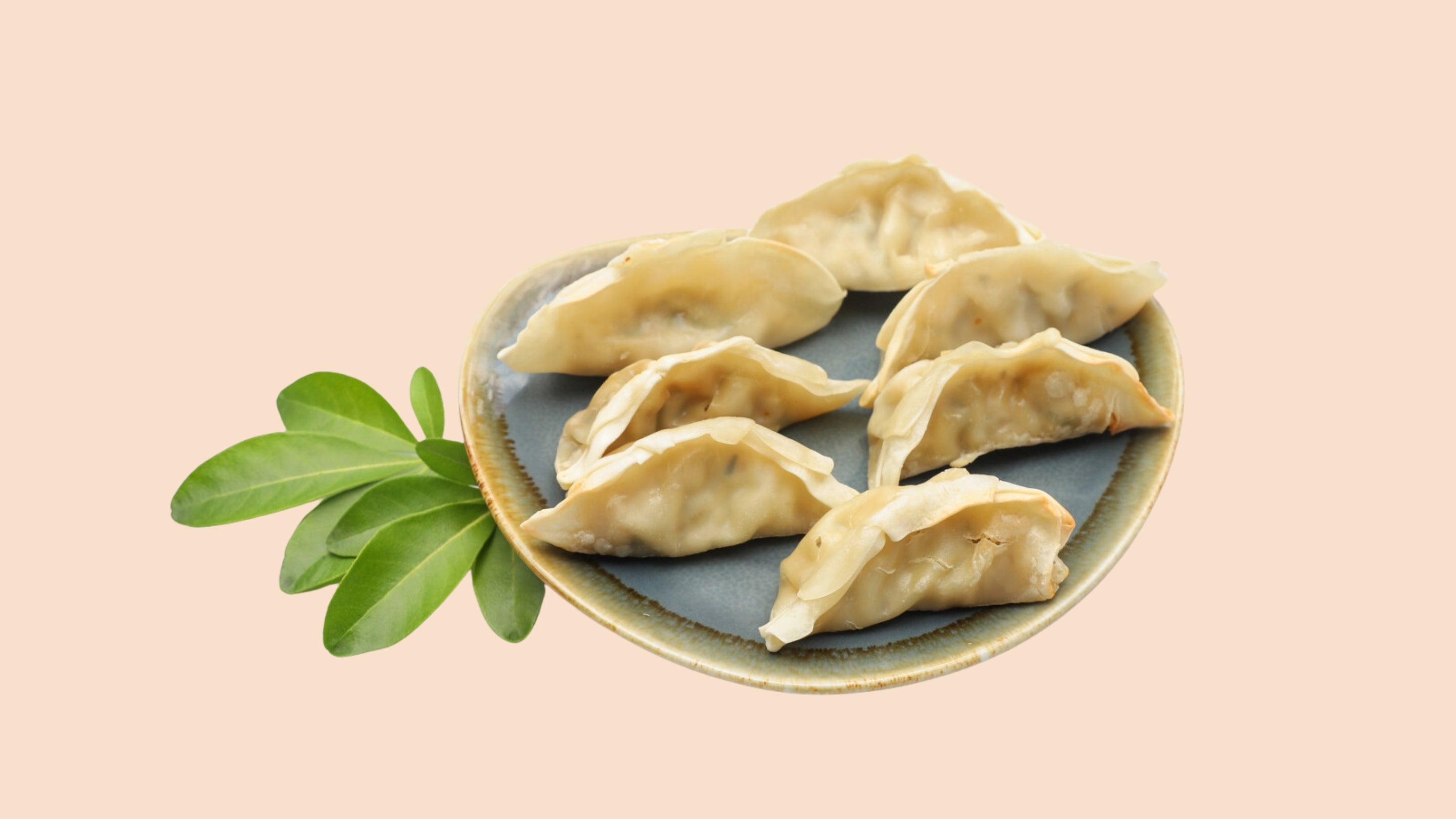 Veg. Gyoza 8pcs (VE)