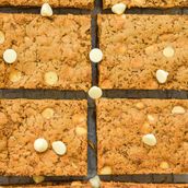 Lotus White Chocolate Blondie