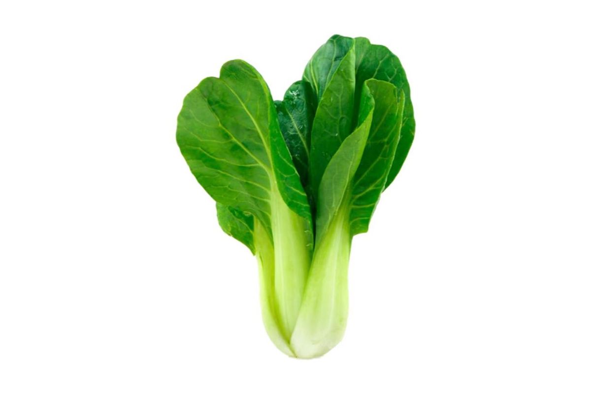 Vegetables 青菜