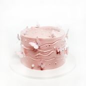 Butterfly Cake