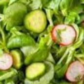 Green Salad