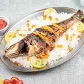Sea Bass 