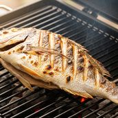 Fish BBQ Regular
