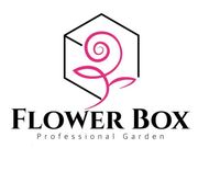 Flower Box