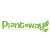 Plantaway - Vegan Ice Creams & Pantry