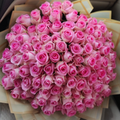 101 Pink Roses