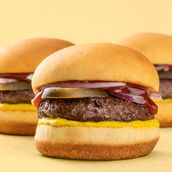 Classic Sliders (3)