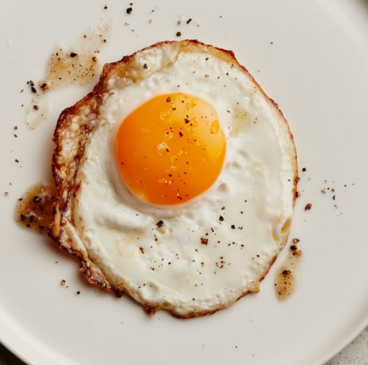 Egg