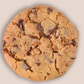 Double Chocolate Vanilla Cookie
