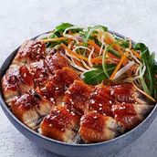 Eel Donburi