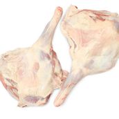 Quarter of a Naimi sheep
