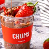 CHUMS Chocolate Strawberry