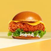 The Buffalo Bird Burger