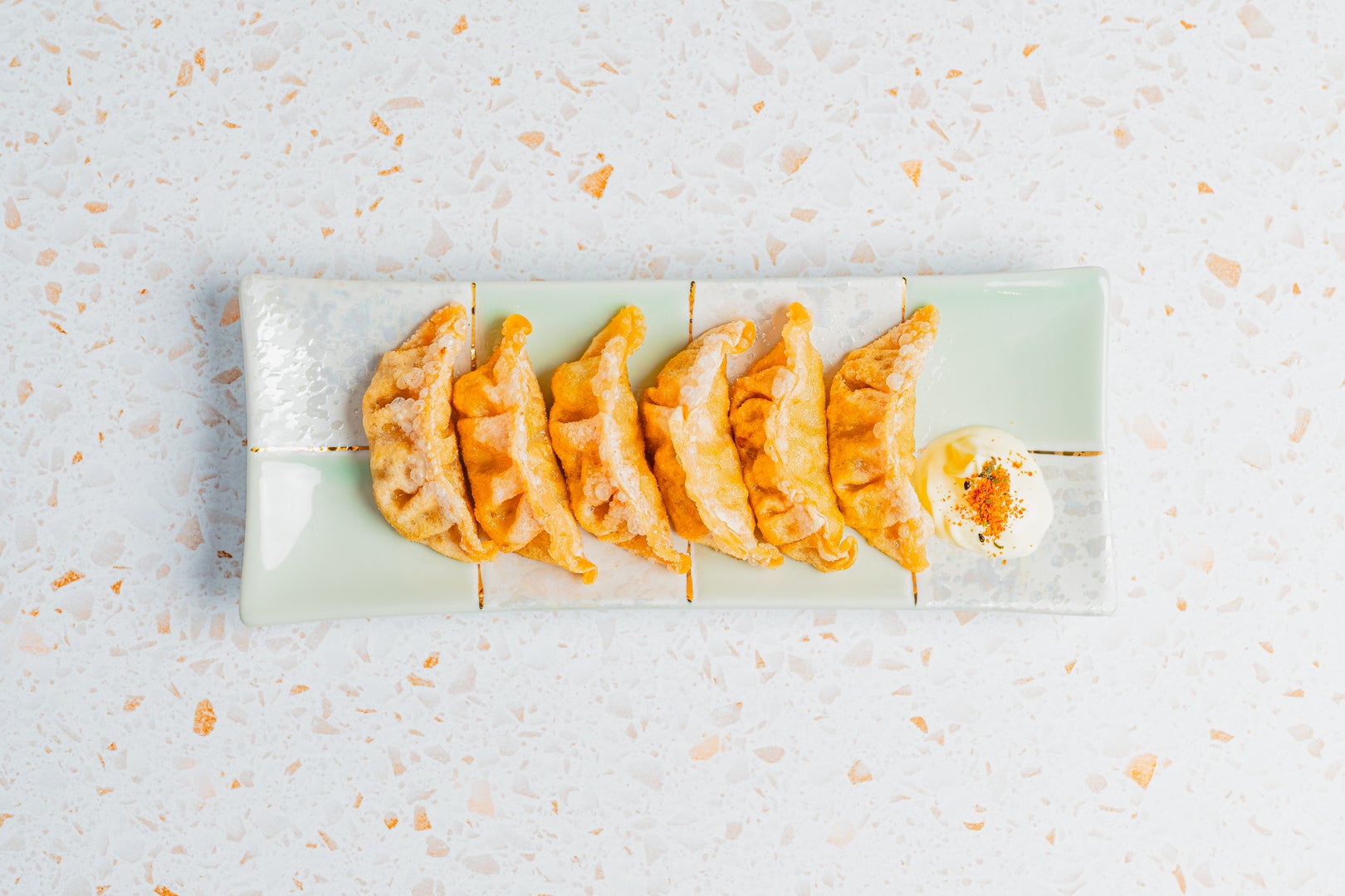 Japanese Gyoza 日式餃子