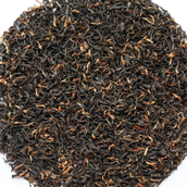Assam Tippy First Flush