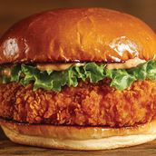 Crispy Chicken Burger