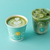 HOT MATCHA LATTE