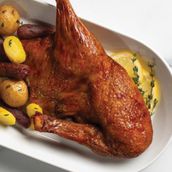 Half Duck