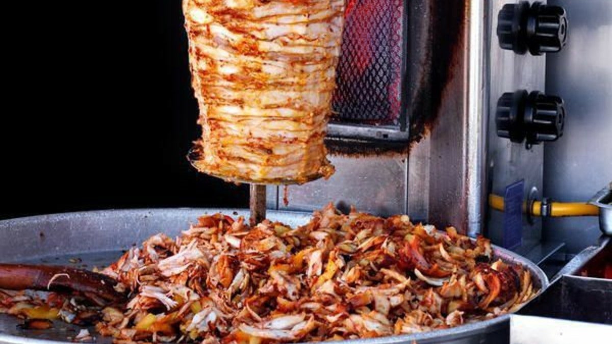 Donner Fries