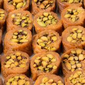 Burma Pistachio