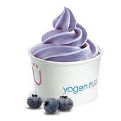 Small Blueberry Flavour Without Toppings