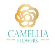Camellia Flowers