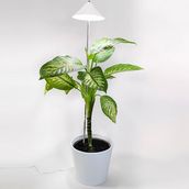 Isun Led Plant Light Xl