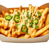 Cheese Fries