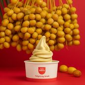 Berhi Soft Serve Ice Cream -Low Fat - No Added Sugar